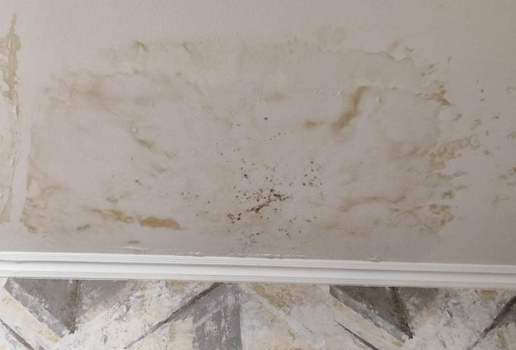 Ремонт после залива